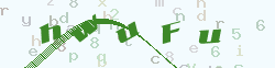 verify_code